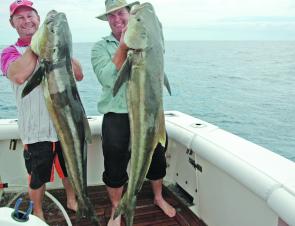 Big cobia like this will be on the reefs off Bundaberg in June.